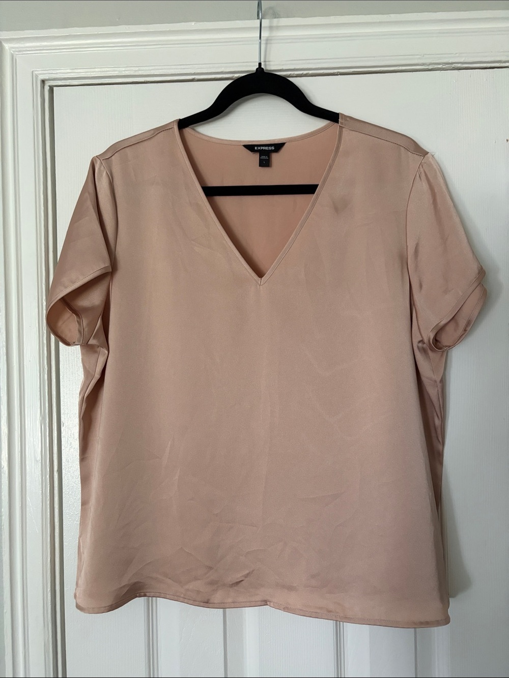 Express V-Neck Short Sleeve Blouse in Light Blush